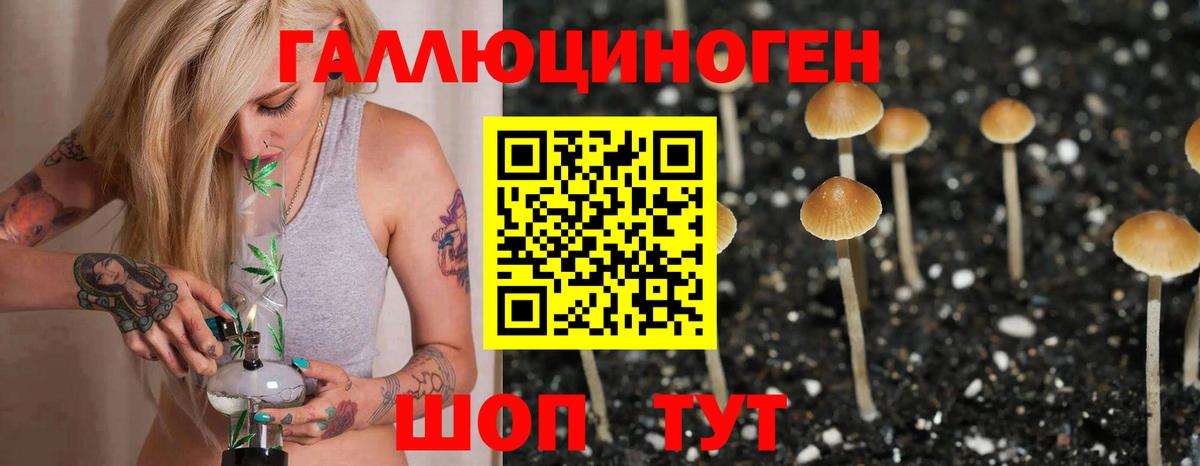 Псилоцибиновые грибы GOLDEN TEACHER Чернушка