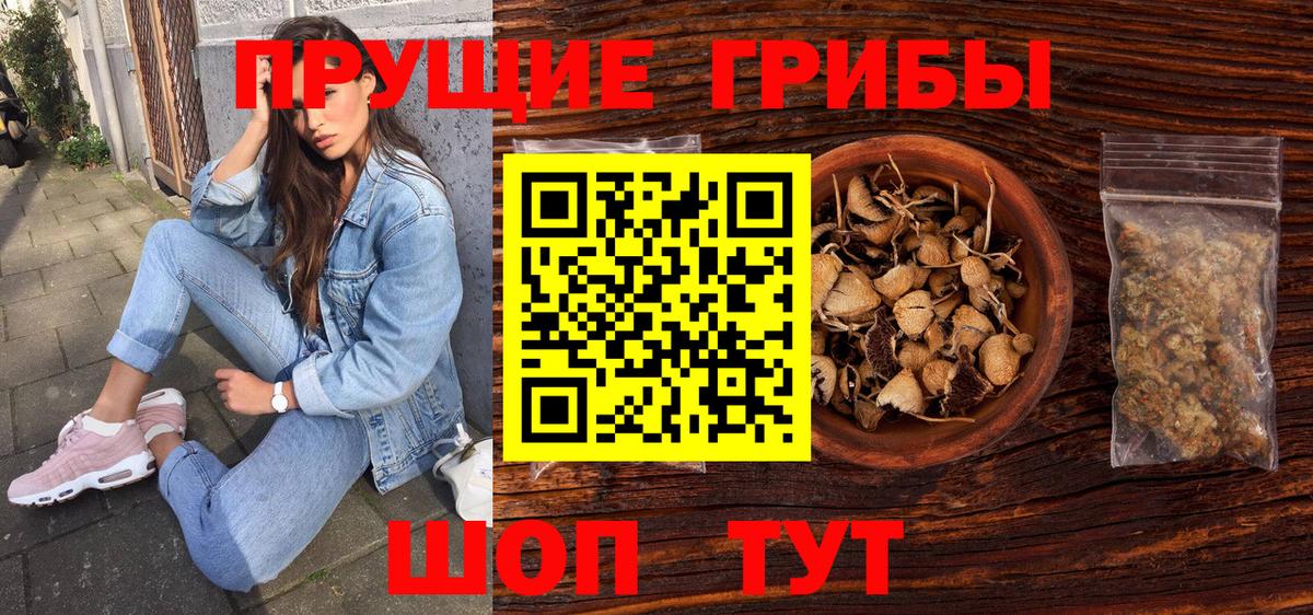 купить   Псилоцибиновые грибы мицелий  Чернушка  Вход с VPN  Псилоцибиновые грибы Magic Shrooms 